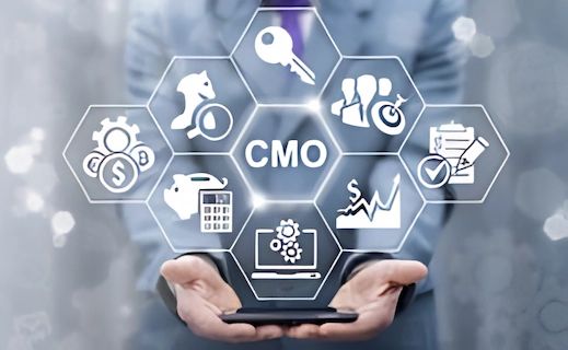 How to Choose the Right Fractional CMO for Your Business